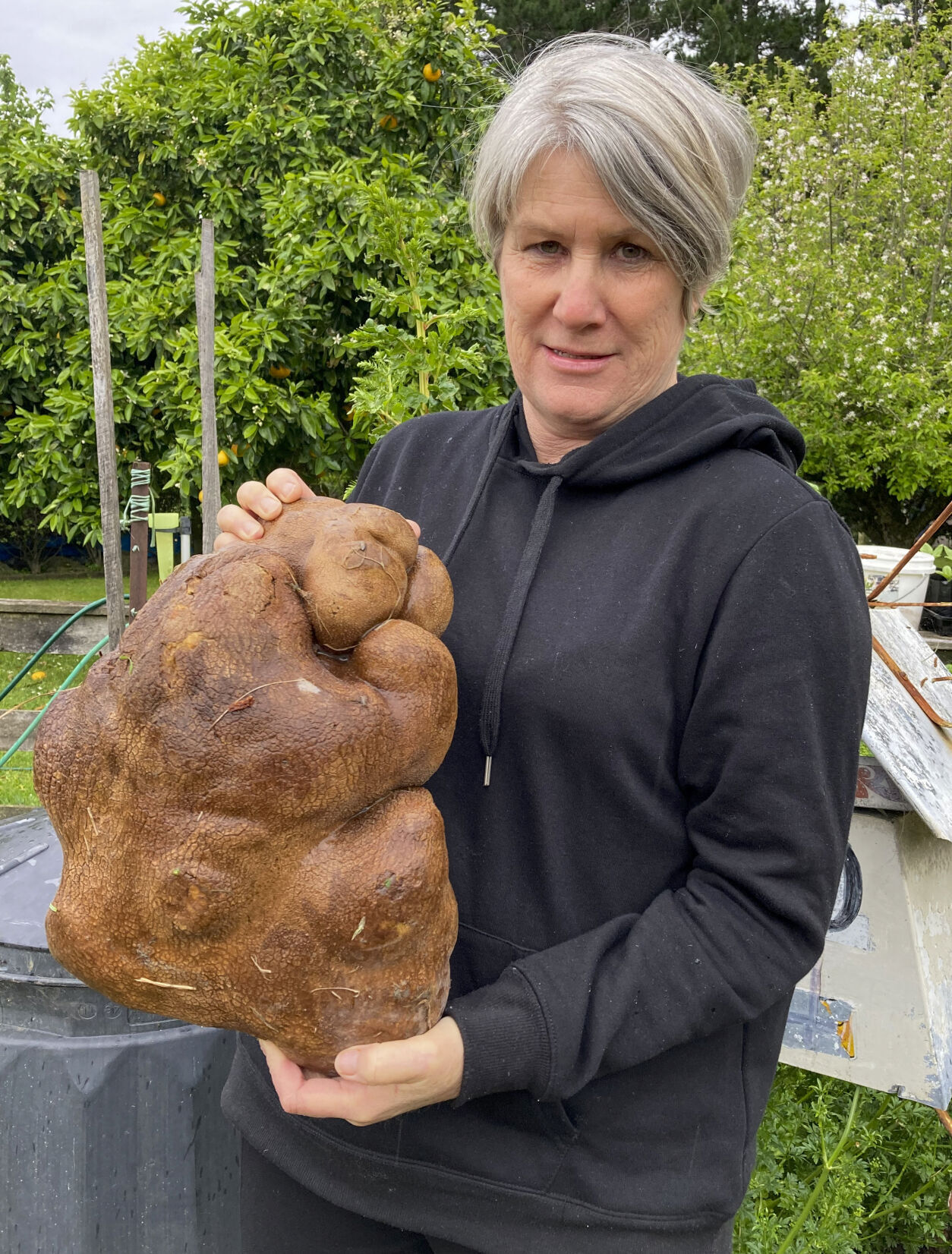 Meet Doug, the Ugly New Zealand Potato That Might Be the World's Biggest New Zealand giant potato